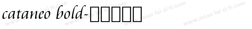 cataneo bold字体转换